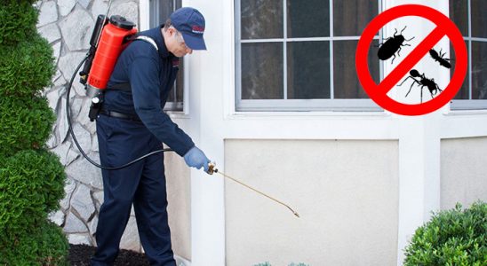Hatundere Bit İlaçlama böcek ilaçlama ve haşere kontrolü — ilaclama-tr.com